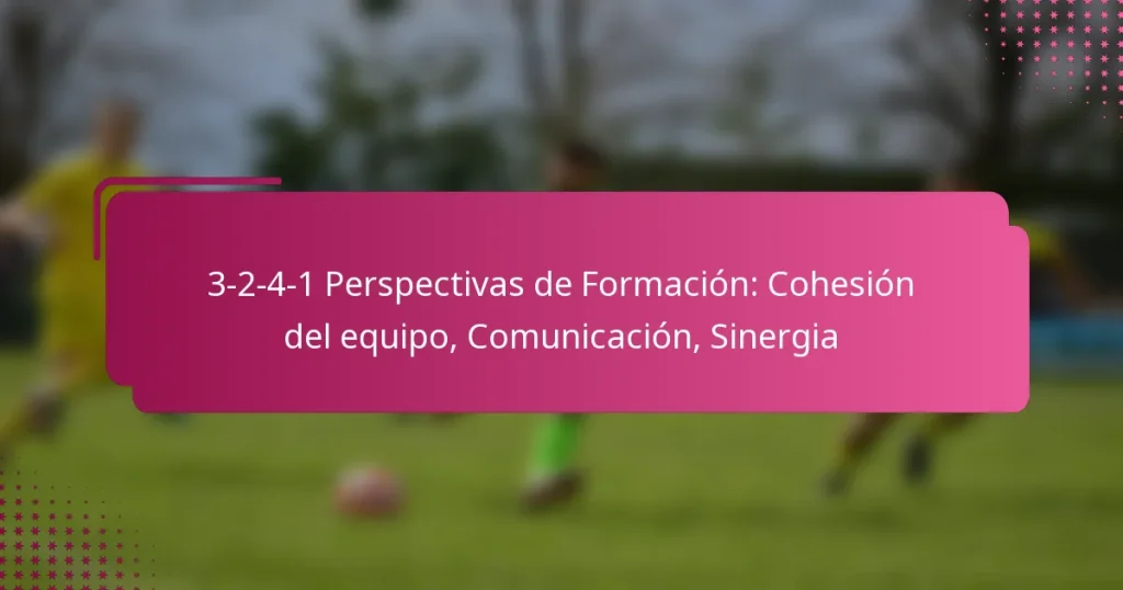 3-2-4-1 Perspectivas de Formación: Cohesión del equipo, Comunicación, Sinergia